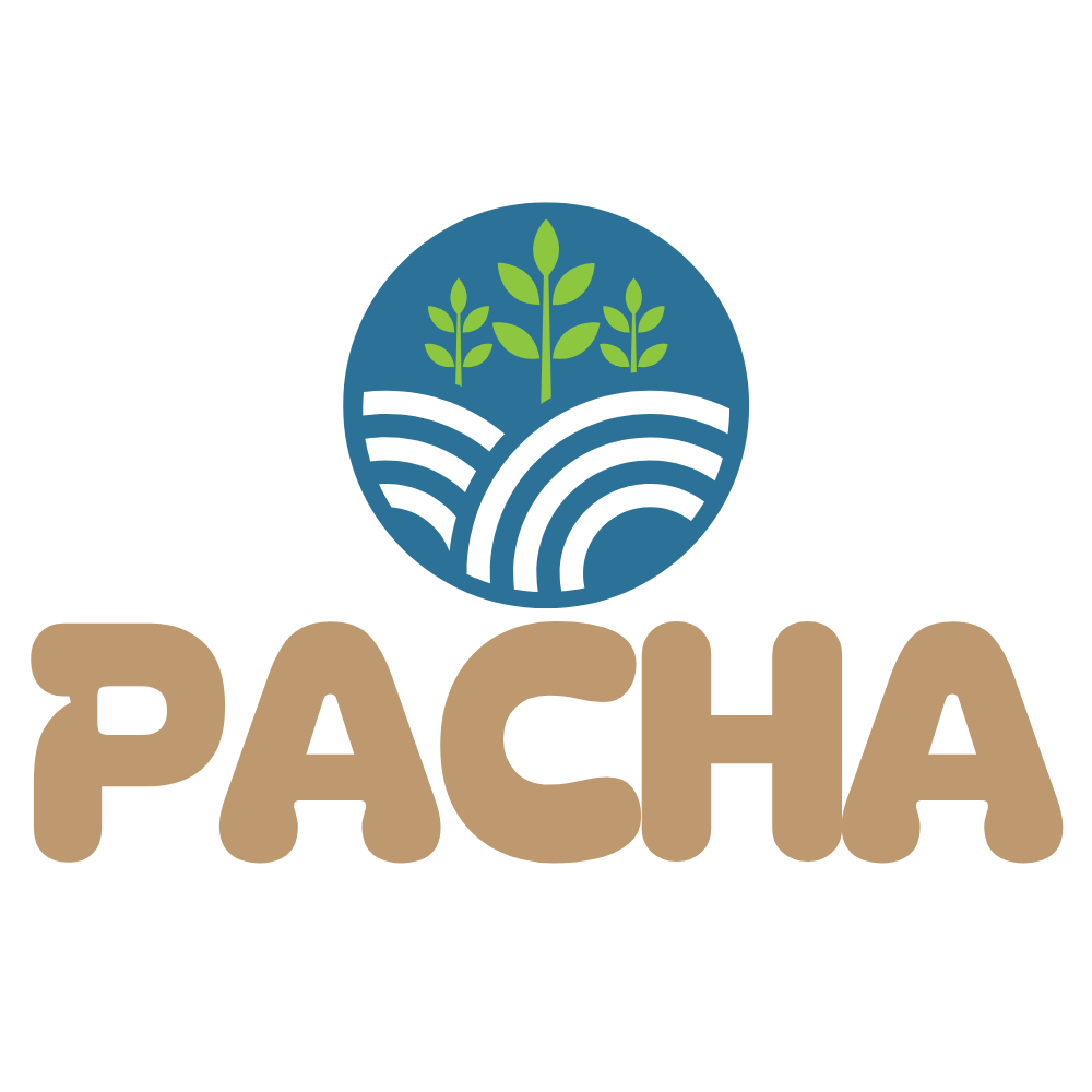 PACHA