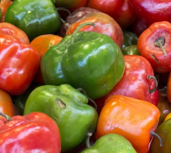 Rocoto Fresco [caja]