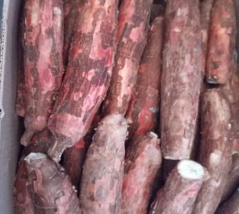 Yuca Fresca [caja]