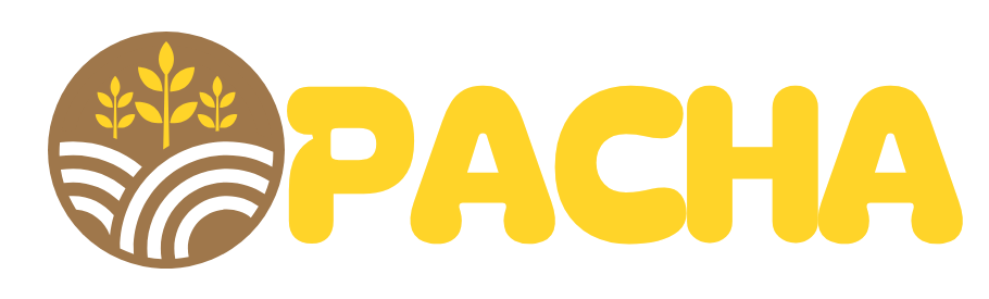 PACHA
